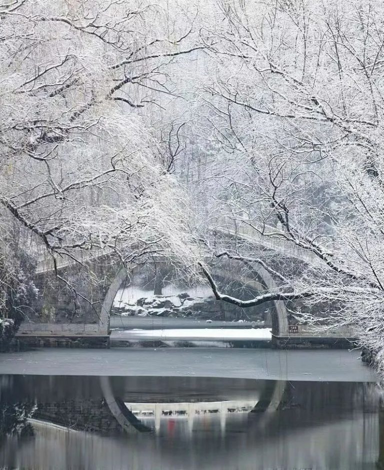 天街晓色瑞烟浓，名纸相传尽贺冬。——秦梓妍