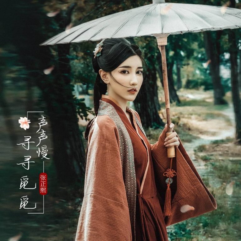 声声慢-歌词改编